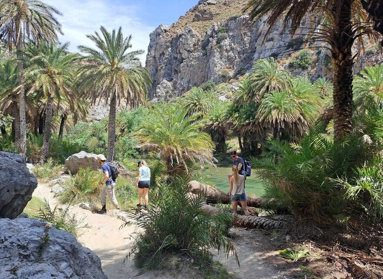 Picture 2 for Activity From Rethymno: Kourtaliotiko, Preveli Palm Beach, & Damnoni