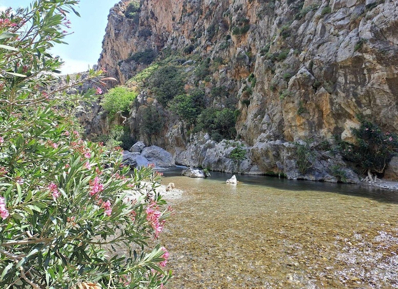 Picture 9 for Activity From Rethymno: Kourtaliotiko, Preveli Palm Beach, & Damnoni