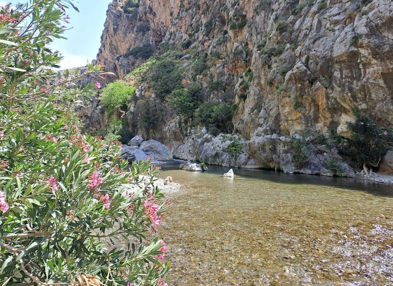 Picture 10 for Activity From Rethymno: Damnoni and Preveli Palm Beach Tour