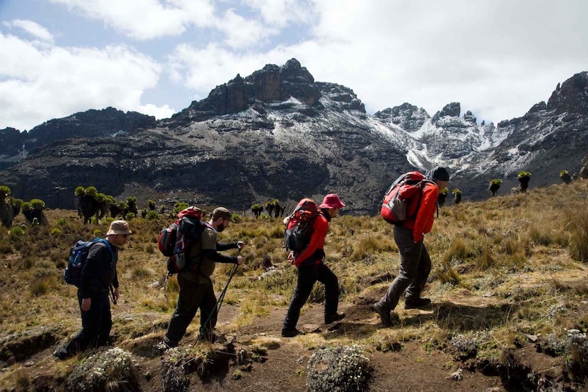 Picture 4 for Activity Mount Kenya: 5-Day Hike Via Chogoria Route