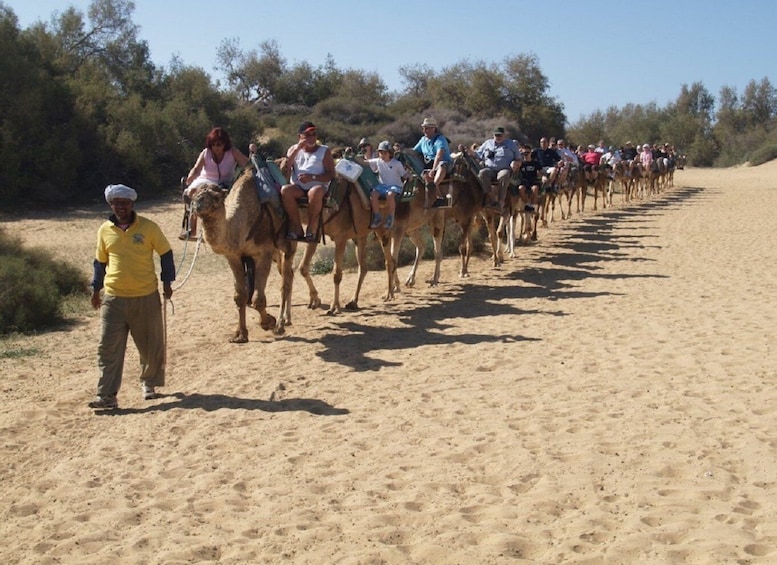 Picture 3 for Activity Maspalomas: E-Scooter Chopper 2 seat optional Camel Tour