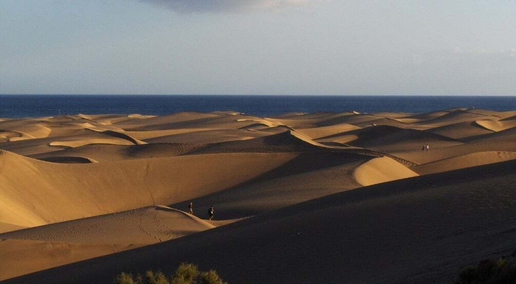 Picture 11 for Activity Maspalomas: E-Scooter Chopper 2 seat optional Camel Tour