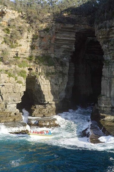 Picture 5 for Activity Tasman Peninsula Tour, Cruise & Port Arthur Historic Site
