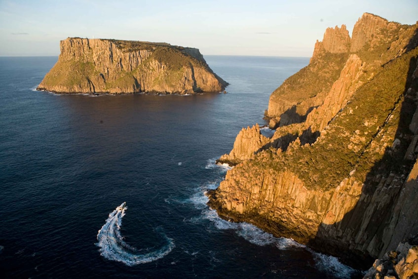 Picture 4 for Activity Tasman Peninsula Tour, Cruise & Port Arthur Historic Site