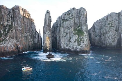 Rundtur på Tasmanhalvön, kryssning och Port Arthur Historic Site