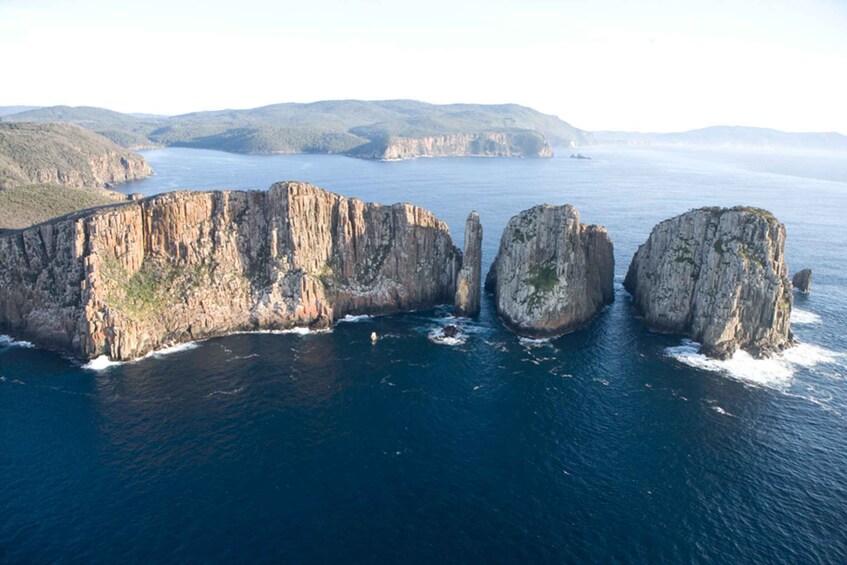 Picture 7 for Activity Tasman Peninsula Tour, Cruise & Port Arthur Historic Site