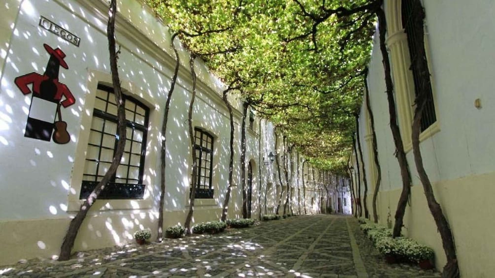 Picture 2 for Activity Jerez: 1.5-Hour Sherry Winery and Tasting Tour