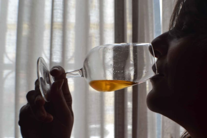 Picture 3 for Activity Jerez: 1.5-Hour Sherry Winery and Tasting Tour
