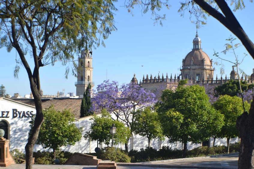 Picture 4 for Activity Jerez: 1.5-Hour Sherry Winery and Tasting Tour