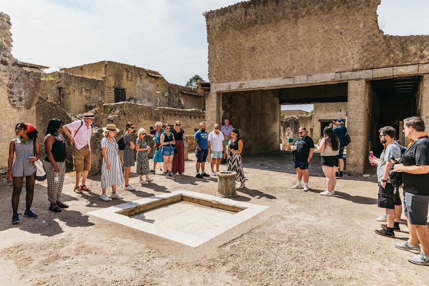 Picture 8 for Activity Herculaneum: Skip-the-Line Tour with Archaeologist