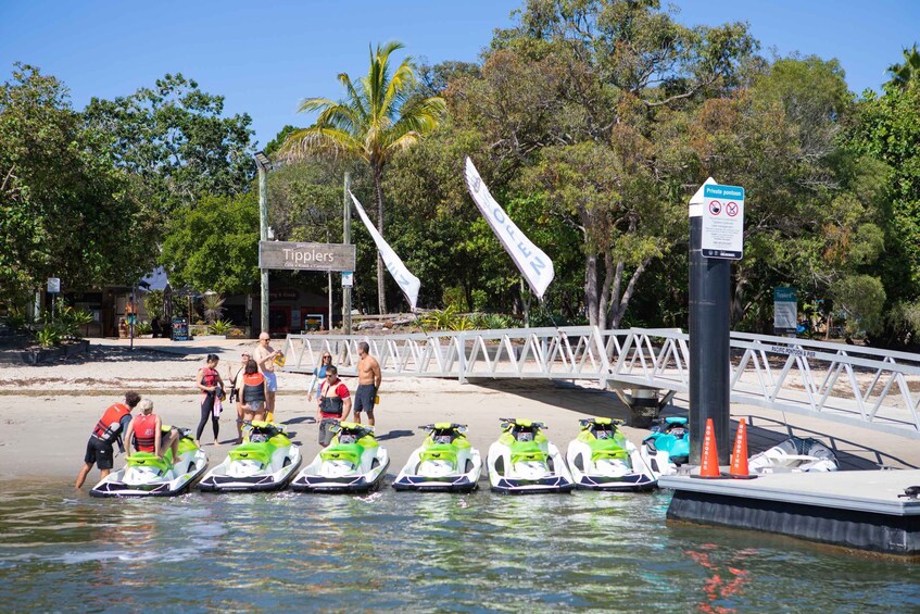 Picture 4 for Activity 1.5-Hour Tropical Island Safari to South Stradbroke Island