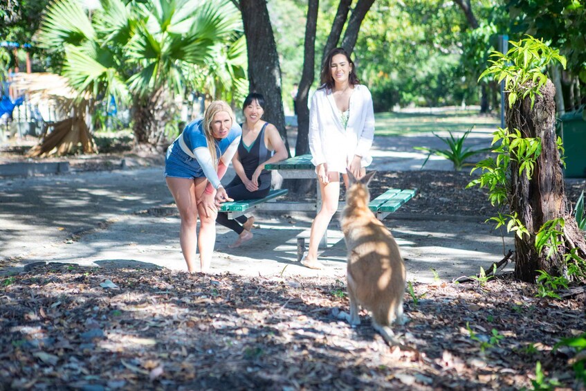 Picture 2 for Activity 1.5-Hour Tropical Island Safari to South Stradbroke Island