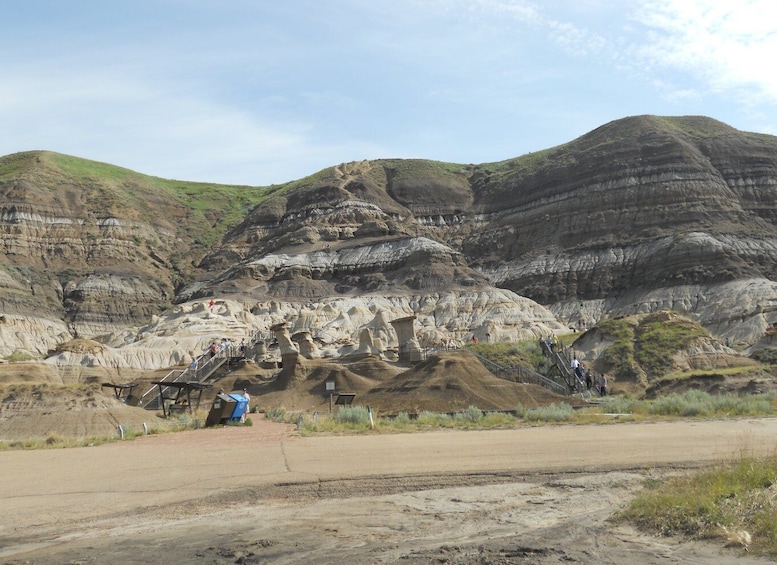 Picture 8 for Activity From Calgary: Drumheller and Badlands Tour