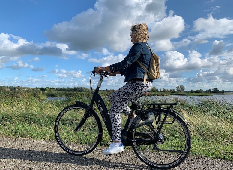 Picture 1 for Activity Amsterdam: Countryside Bike Tour and Zaanse Schans Windmills