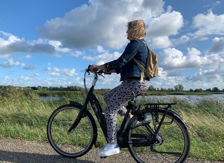 Picture 1 for Activity Amsterdam: Countryside Bike Tour and Zaanse Schans Windmills