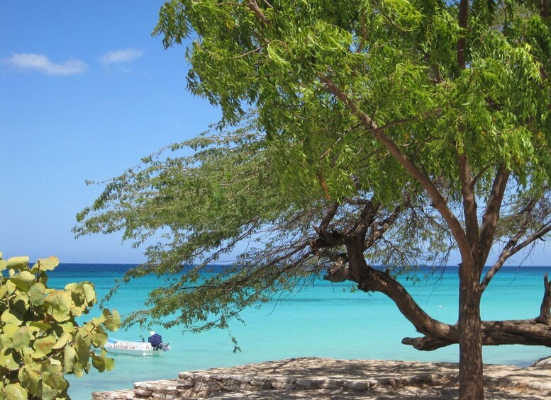 Picture 5 for Activity Bahía de las Aguilas: Beach Day Trip by Boat