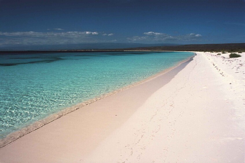 Picture 8 for Activity Bahía de las Aguilas: Beach Day Trip by Boat