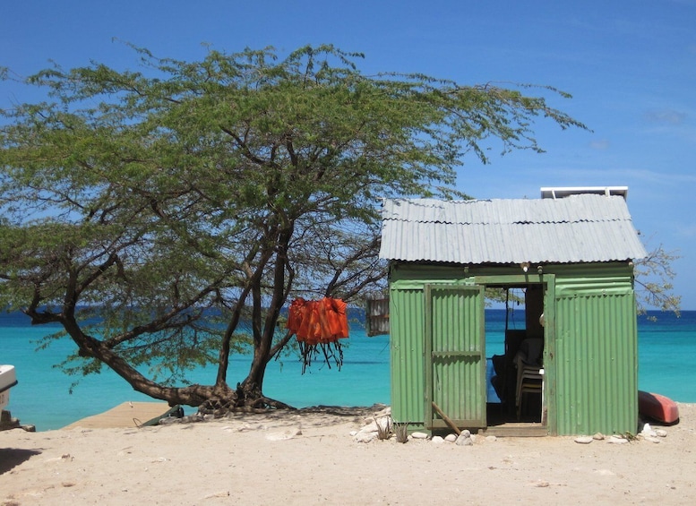 Picture 2 for Activity Bahía de las Aguilas: Beach Day Trip by Boat