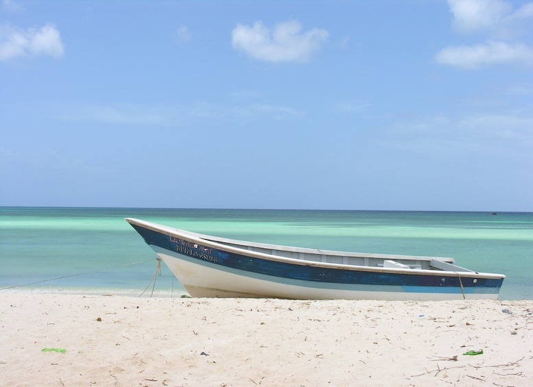 Picture 3 for Activity Bahía de las Aguilas: Beach Day Trip by Boat