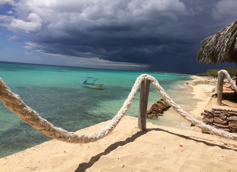 Picture 7 for Activity Bahía de las Aguilas: Beach Day Trip by Boat