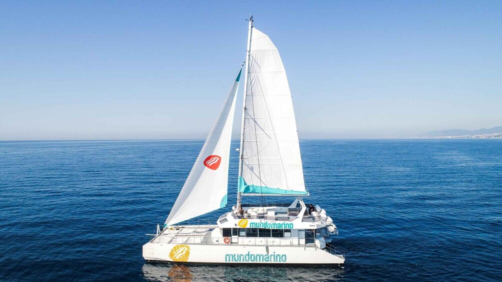 Picture 8 for Activity Malaga: Catamaran Sailing Trip with Sunset Option