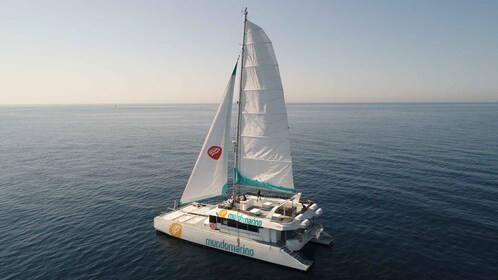 Malaga: Catamaran Sailing Trip with Sunset Option
