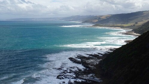 Fra Melbourne: Great Ocean Road, 12 apostler, Wildlife Tour