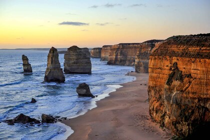 จากเมลเบิร์น: Great Ocean Road, 12 Apostles, Wildlife Tour