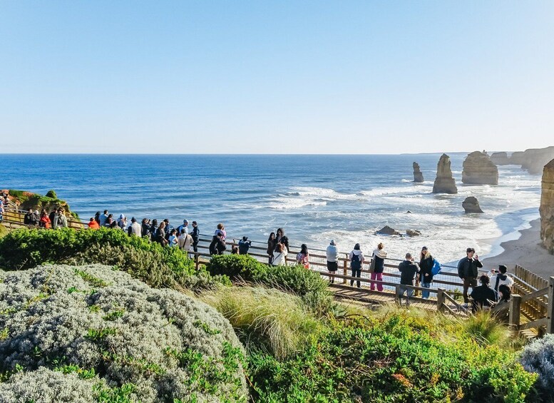 Picture 1 for Activity From Melbourne: Great Ocean Road, 12 Apostles, Wildlife Tour