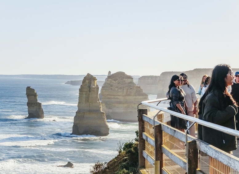 Picture 2 for Activity From Melbourne: Great Ocean Road, 12 Apostles, Wildlife Tour