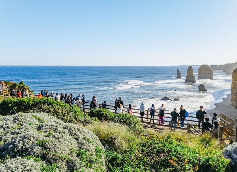 Picture 1 for Activity From Melbourne: Great Ocean Road and Wildlife Tour