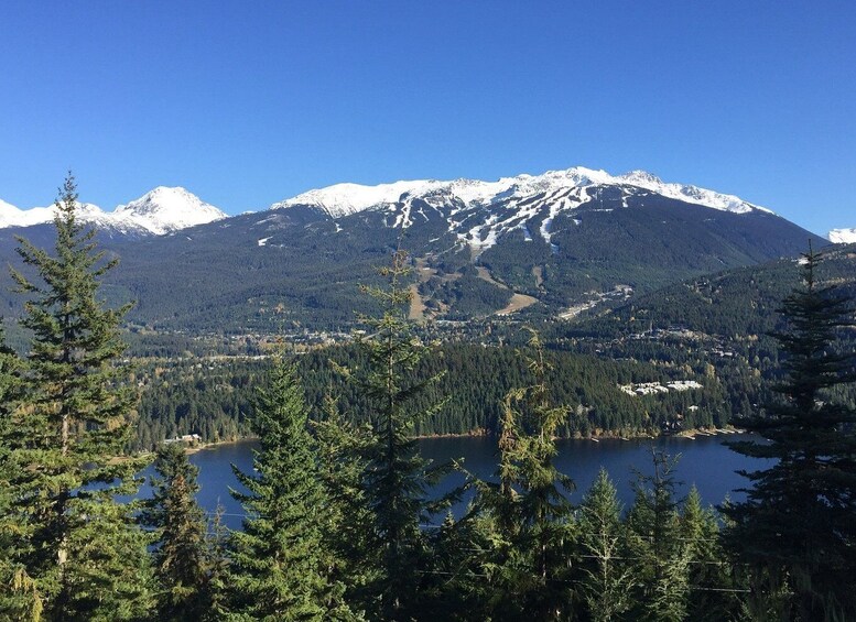 Picture 1 for Activity Whistler: Scenic Helicopter Flight