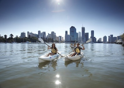 Brisbane: 2-Hour Kayak Hire on Brisbane River