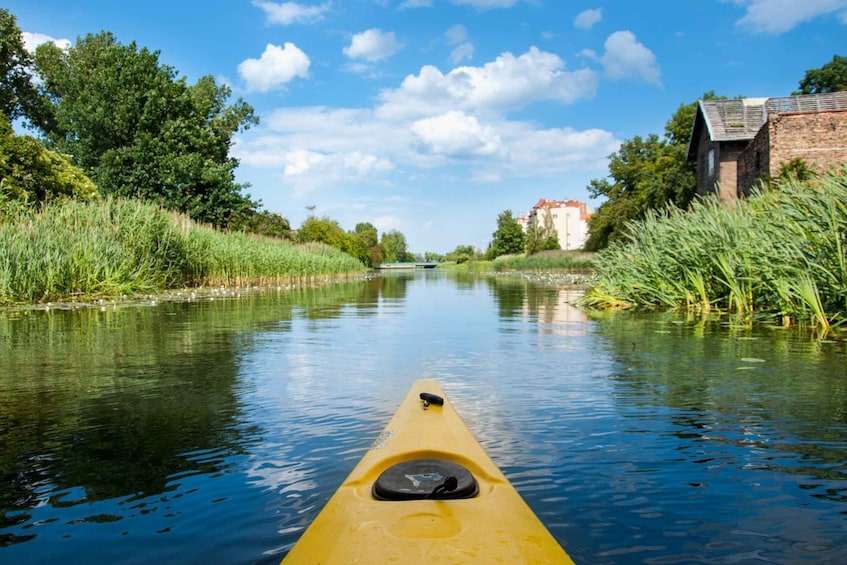 Picture 3 for Activity Gdańsk: Islands and Canals Private Kayak Tour