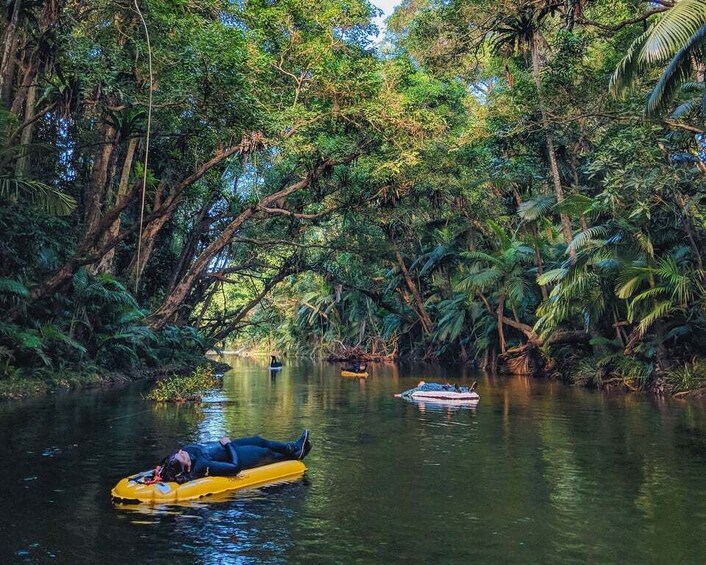 Picture 5 for Activity Mossman Gorge: Day Tour with River Drift Experience