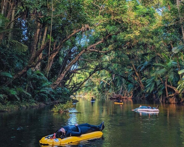 Picture 5 for Activity Mossman Gorge: Day Tour with River Drift Experience