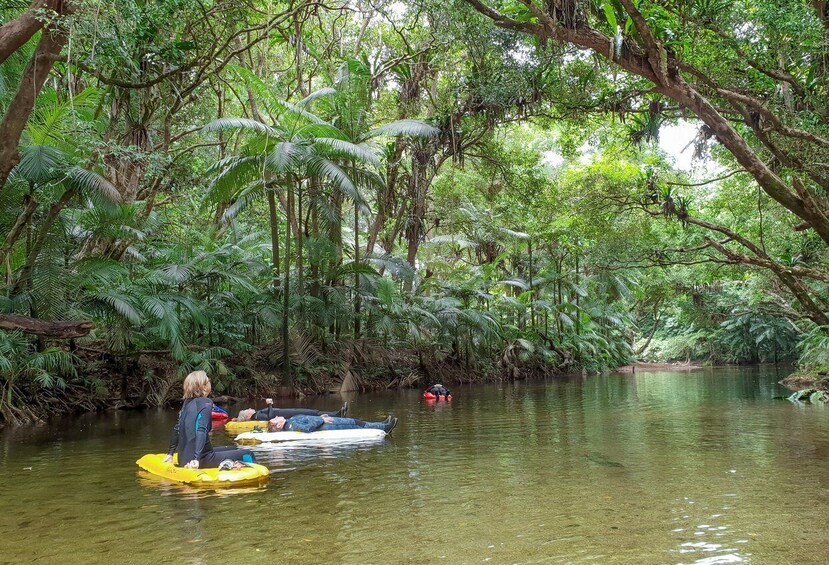 Picture 6 for Activity Mossman Gorge: Day Tour with River Drift Experience