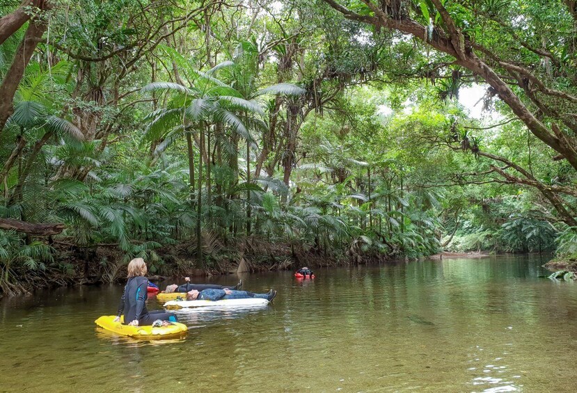 Picture 7 for Activity Port Douglas: Mossman Gorge Day with River Drift Snorkeling