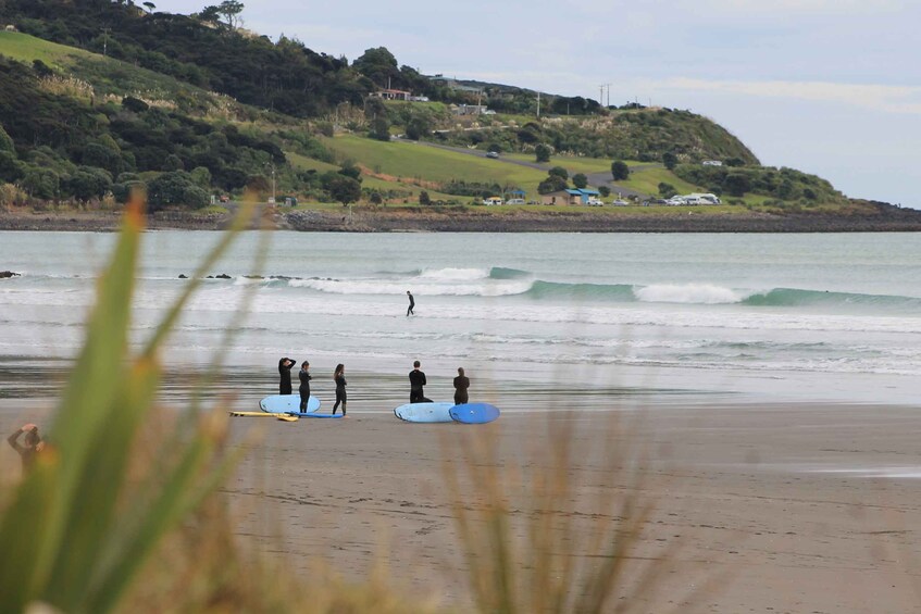 Picture 2 for Activity Raglan: Group Surf Lesson