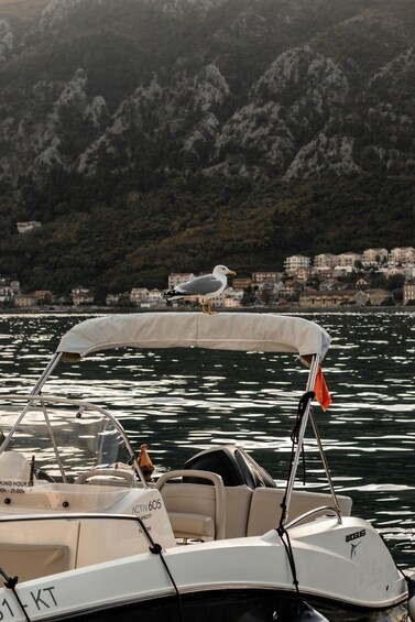 Picture 33 for Activity Kotor: Boat Tour to Perast Old Town & Our Lady of the Rocks