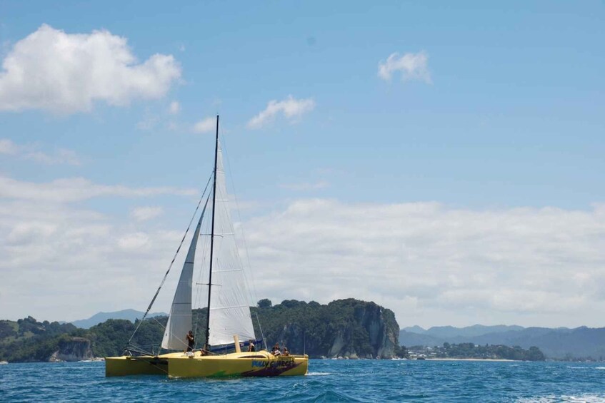 Picture 6 for Activity Whitianga: 3-Hour Sailing Trip to Cathedral Cove with Swim