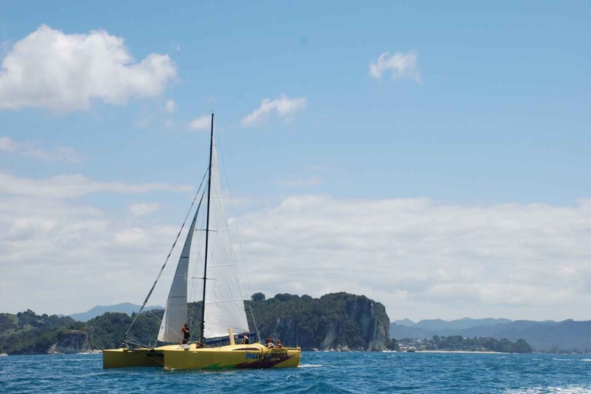 Picture 8 for Activity Whitianga: Sailing Trip to Cathedral Cove