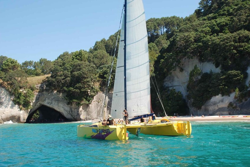 Picture 1 for Activity Whitianga: Sailing Trip to Cathedral Cove