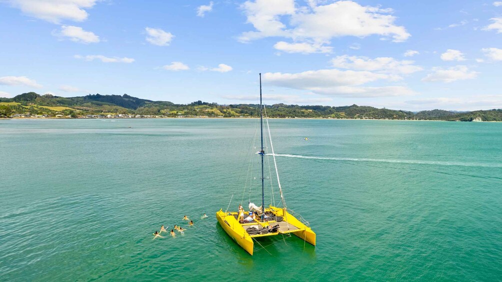 Picture 4 for Activity Whitianga: Sailing Trip to Cathedral Cove