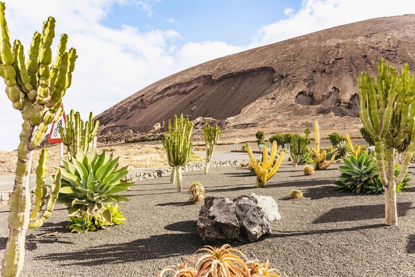 Picture 2 for Activity Lanzarote: Guided Off-Road Volcano Buggy Tour