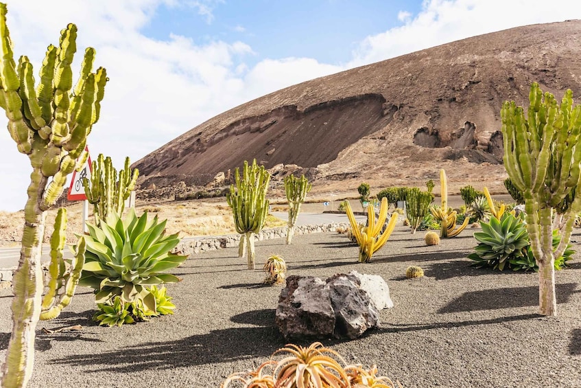 Picture 2 for Activity Lanzarote: Guided Off-Road Volcano Buggy Tour