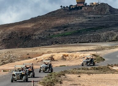 Lanzarote: Vulkaan Buggy Tour met gids