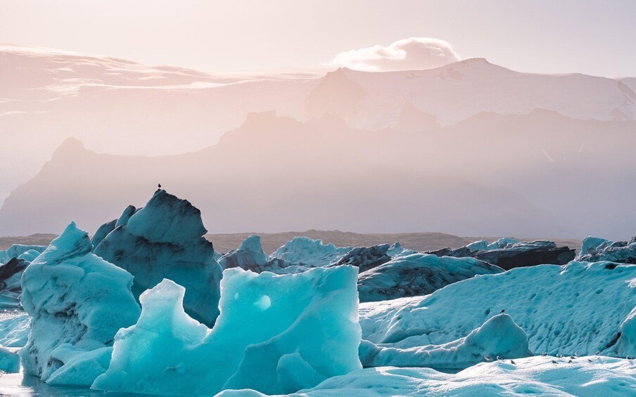 Private Glacier Lagoon - Jökulsárlón
