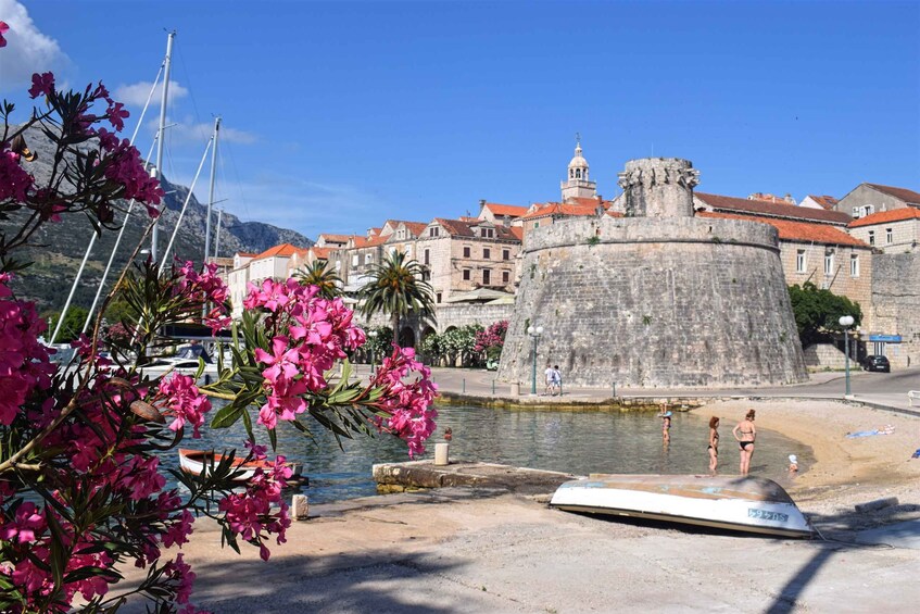 Picture 5 for Activity From Dubrovnik: Guided Tour of Pelješac & Korčula