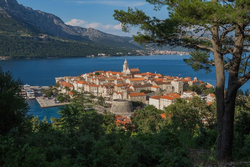 Picture 7 for Activity From Dubrovnik: Guided Tour of Pelješac & Korčula